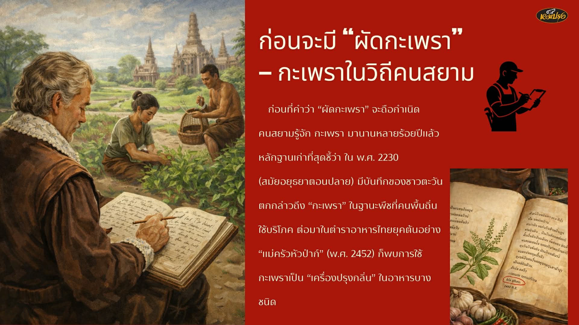 จากใบกะเพราข้างรั้ว สู่ผัดกะเพราประจำชาติ